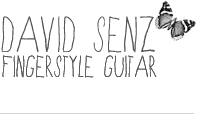 David Senz Gitarre